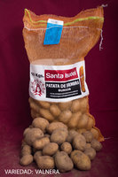 Patata Siembra Certificada Envase saco PE 10 Kg.